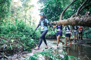 BIB: 
                            <button type="button" onclick="openModal(25442566)" class="btn btn-primary btn-sm float-right btn-popup" data-toggle="modal" data-target=".modal-high-quality">
                        <i class="fas fa-shopping-cart"></i> Add to Cart
                    </button>
                                            <button type="button" onclick="isThisMe(25442566, true)" class="btn btn-success btn-sm float-right btn-popup btn-isme hidden" data-toggle="tooltip" data-placement="bottom" title="นี่คือรูปของคุณใช่ไหม คลิกที่นี่เพื่อเอาเข้าอัลบั้ม">
                        <i class="fas fa-plus"></i> Add to album
                    </button>
                    <button type="button" onclick="isThisMe(25442566, false)" class="btn btn-warning btn-sm float-right btn-popup btn-isnotme hidden">
                        <i class="fas fa-ban"></i> Remove from album
                    </button>